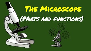 SCIENCE 7 PARTS OF THE MICROSCOPE AND THEIR FUNCTIONS [upl. by Nolat]