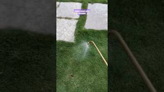 Termite Garden Spray Treatment Work in Villas  SS Pest Control Services [upl. by Ahseital]