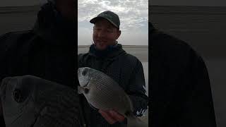 Fishing North of Henties Bay Namibia shorts [upl. by Drisko283]