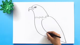 How to Draw a Bald Eagle 🦅 Bald Eagle Drawing Easy Step by Step  Draw the national Bird of USA [upl. by Airbmak]