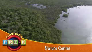 Exploring Mangroves  Virtual Field Trip  KidVision PreK [upl. by Lavery262]