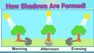 Understanding Shadows How They Are Formed [upl. by Nitsid317]