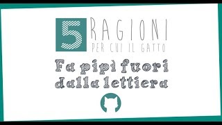 5 ragioni per cui il gatto fa pipì fuori dalla lettiera [upl. by Clippard]