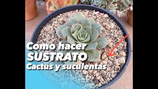 Como hacer SUSTRATO tierra para cactus y suculentas económico y efectivo solo con 3 materiales [upl. by Ginni]