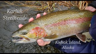 Karluk River Steelhead Fishing 2018 [upl. by Micro]