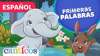 Primeras Palabras Afuera Kinder Spanish Español Best Learning Video [upl. by Corey785]