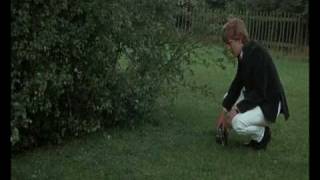 Antonioni Blow Up 1966 POV Fallacy [upl. by Ojillib309]