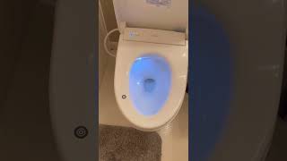 Bidet toto washlet auto open  warm seat warm water and dyer [upl. by Namzaj]