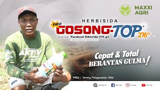 maxxiagri  herbisida Neo GOSONGTOP 276SL Cepat amp Total Basmi gulma Lahan jagung josss mantap [upl. by Hildebrandt]