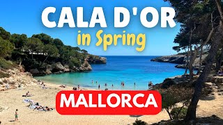 Spring in Cala DOr Mallorca Majorca Spain [upl. by Dyke389]