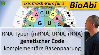 RNATypen mRNA tRNA rRNA Genetischer Code und Komplementäre Basenpaarung  Anwendungsaufgaben [upl. by Lauri155]