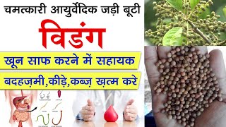 पेट के कीड़ों और खून साफ़ के लिए विडंग के फायदे I Vidang  An Ayurvedic Herb For Blood Purification [upl. by Ramo]