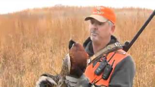 Pheasants Forever Television Season 7 Episode 9 Promo [upl. by Loeb]