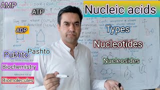 Nucleic acids  Nucleotides  Types of Nucleotides  ATP ADP  AMP Biology class 11 in Pashto [upl. by Lipp]