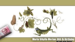 Maria Sibylla Merian  Google Doodle HQ [upl. by Cosenza]