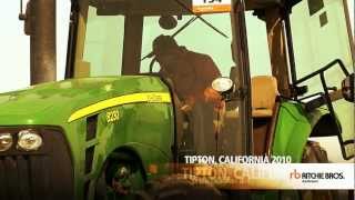 Tipton California Agricultural Auction Site Grand Opening [upl. by Ahsekat]