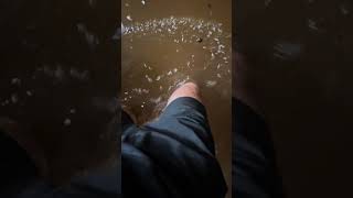 Flooding in Seminole Florida due to Hurricane Helene [upl. by Sianna31]