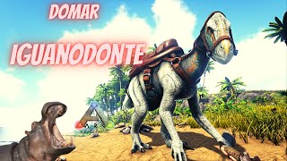 Como domar o Iguanodonte  Ark Survival Evolved [upl. by Loy122]