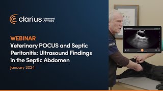 Veterinary POCUS and Septic Peritonitis Ultrasound Findings in the Septic Abdomen [upl. by Gavriella966]