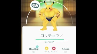 改造ポケモンの見分け方 [upl. by Map766]