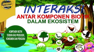 EKOSISTEM  Interaksi antar Komponen Biotik dalam Ekosistem  materi pelajaran IPA [upl. by Ninehc]