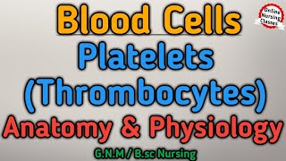 Platelets Thrombocytes Anatomy And Physiology Gnm 1st year  Blood Cells  BioScience Gnm 1st year [upl. by Oilime]