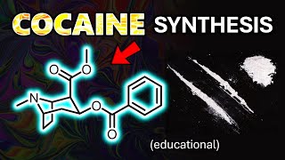 Epic First Cocaine Synthesis in 25 Steps Educational [upl. by Bryon314]