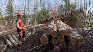 ATV Winch Powered Timber Trailer KranmanPart 2atv log hauler [upl. by Ligetti]