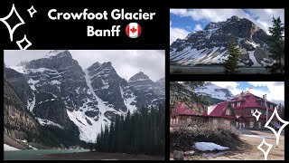 Crowfoot Glacier Banff July2021 Alberta Canada 🇨🇦 [upl. by Ecnedurp]