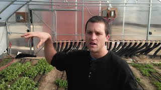 Geothermal Greenhouse Experiment in Wyoming Zone 4b [upl. by Charla]