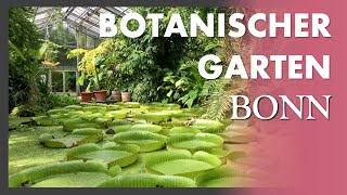 Botanical Garden BonnGermany  FULL TOUR  Eine echte Sehenswürdigkeit und tolles Ausflugsziel [upl. by Wiltz]