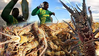 Massive Lobster Haul Unforgettable Catch And Ontheroad Sale [upl. by Leber]