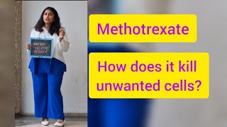 How does methotrexate kill unwanted cells or ectopic pregnancy [upl. by Enilemme424]