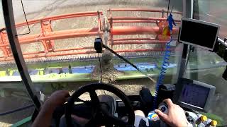 Okiem GoPro 23 Claas Lexion 780 koszenie pszenicy [upl. by Etteragram191]