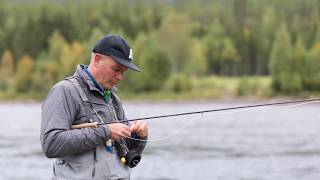 fly fishing for grayling in the river Glomma [upl. by Jyoti]