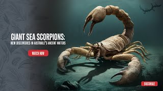 Giant Sea Scorpions Australia’s Prehistoric Predators Uncovered [upl. by Lindeberg]