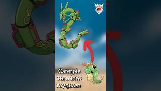 caterpie turn into rayquaza  rayquaza vs caterpie rayquaza evolution trending [upl. by Nnainot758]