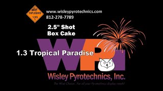 Wisley Pyrotechnics Inc  WPI2536TP  Tropical Paradise  Shot Box Cake Firework [upl. by Krantz]