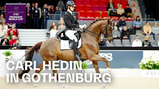 Swedish Dressage Sensation Carl Hedin at the FEI Dressage World Cup™ Gothenburg 2024 [upl. by Victor]