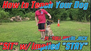 How to Teach ANY DOG How to quotSITquot w an quotIMPLIED STAYquot GUARANTEED in 1 Session belgianmalinois [upl. by Noslien]