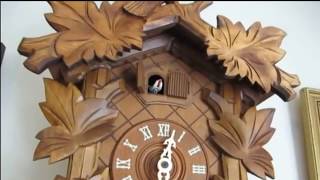 23 cuckoo bird calls in 50 seconds  Cuckoo Clock Coo Cooquot Compilation [upl. by Pilihp]