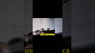 😱КАК ДЕЛАЮТ ШЕСТЕРНИ НА ЗАВОДЕ АВТОВАЗ🤯ВСЕ КАРТЫ РАСКРЫТЫ [upl. by Coray]