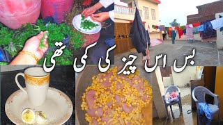 Bus Es Cheez ke kami thi  shami kabab recipe in village style 😋 punjabi cheema vlogs [upl. by Malchy]