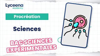 Bac Sciences Expérimentales  SVT  Exercices procréation [upl. by Burrows614]