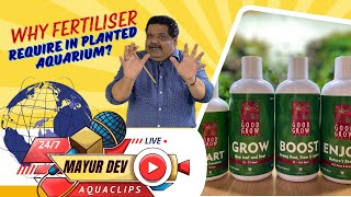 Why Fertiliser Require in Planted Aquarium  Mayur Dev Aquascaper 4K [upl. by Dorrehs]