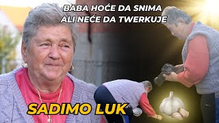 Tutorijal Za Sadnju Belog Luka Sa Bakom [upl. by Norda]