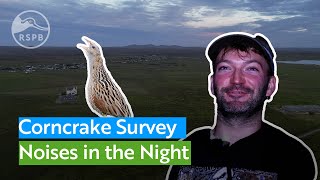 Experience a midsummer night in Lewis listening for endangered Corncrakes [upl. by Arand]