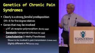 2014 Anaheim  The Causes and Treatment of Pain in Scleroderma with Dr Daniel Furst [upl. by Hillard582]