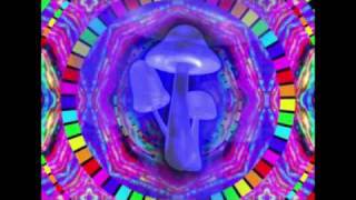 Majic mushrooms1200 Micrograms [upl. by Elletnahc721]