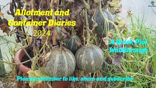 DWW Gardening 2024  Another Quick Plot Walkthrough [upl. by Kilan440]